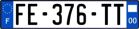 FE-376-TT