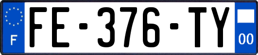 FE-376-TY