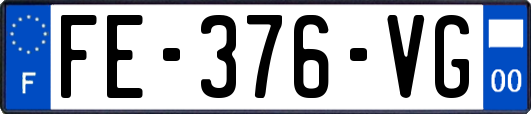 FE-376-VG