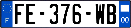 FE-376-WB