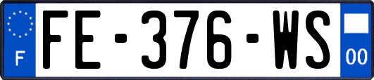 FE-376-WS