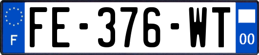 FE-376-WT