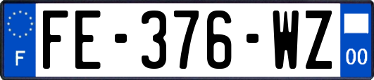 FE-376-WZ