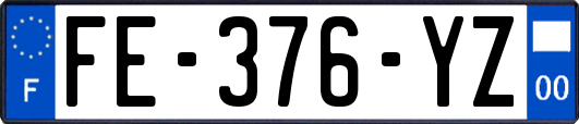 FE-376-YZ