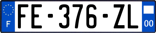 FE-376-ZL