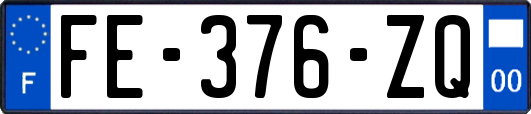 FE-376-ZQ