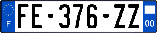 FE-376-ZZ