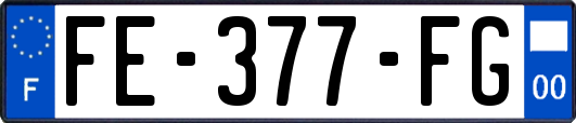 FE-377-FG