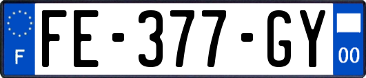 FE-377-GY