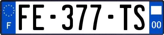 FE-377-TS