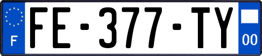 FE-377-TY