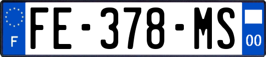 FE-378-MS