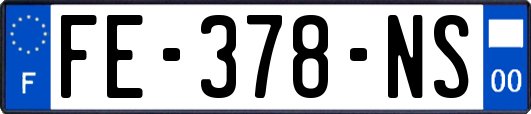 FE-378-NS