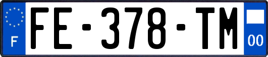 FE-378-TM