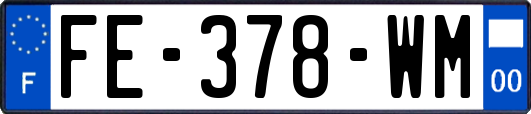 FE-378-WM