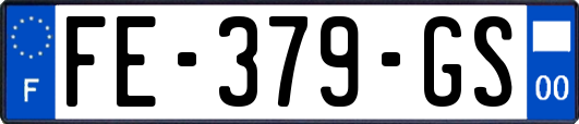 FE-379-GS