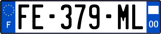 FE-379-ML