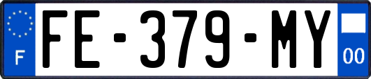 FE-379-MY