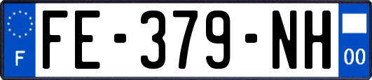 FE-379-NH
