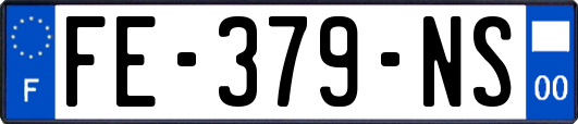 FE-379-NS