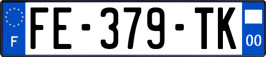 FE-379-TK