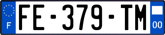 FE-379-TM