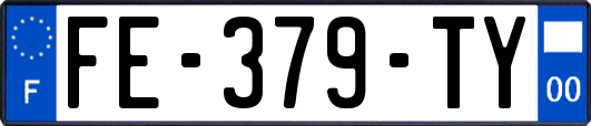 FE-379-TY