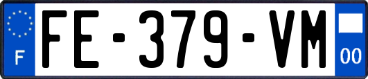 FE-379-VM