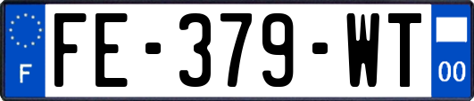 FE-379-WT