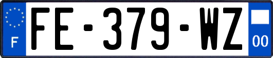 FE-379-WZ