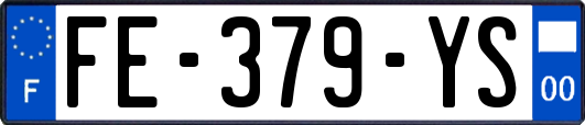 FE-379-YS