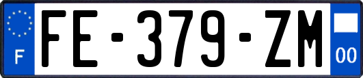 FE-379-ZM