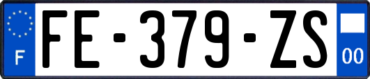 FE-379-ZS