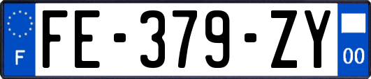 FE-379-ZY