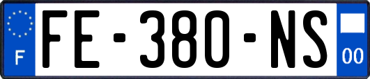 FE-380-NS