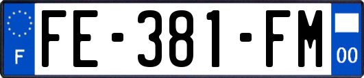 FE-381-FM