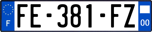 FE-381-FZ