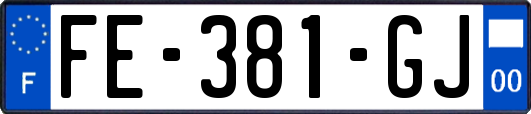 FE-381-GJ