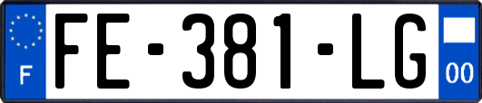 FE-381-LG