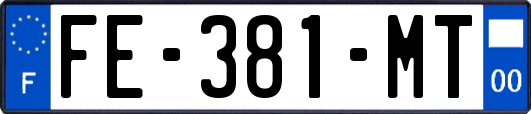 FE-381-MT