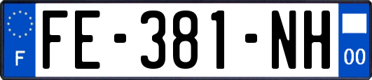 FE-381-NH