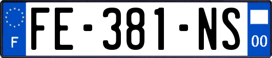 FE-381-NS