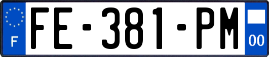 FE-381-PM
