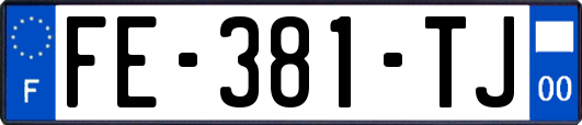 FE-381-TJ