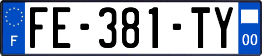 FE-381-TY