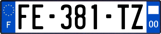 FE-381-TZ