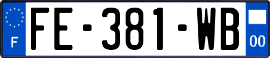 FE-381-WB