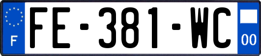 FE-381-WC