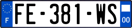 FE-381-WS