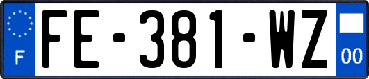 FE-381-WZ